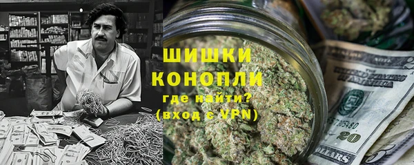 ГАЛЛЮЦИНОГЕННЫЕ ГРИБЫ Алексин