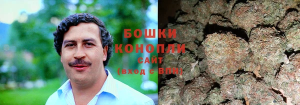 ГАЛЛЮЦИНОГЕННЫЕ ГРИБЫ Алексин