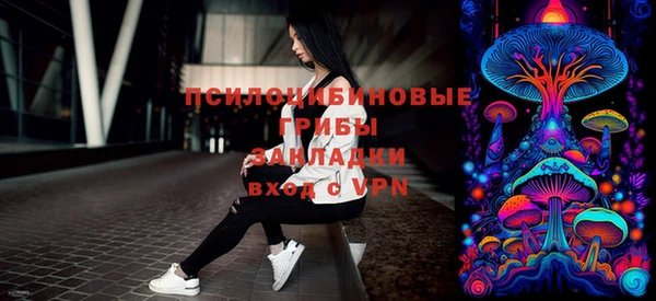 ГАЛЛЮЦИНОГЕННЫЕ ГРИБЫ Алексин