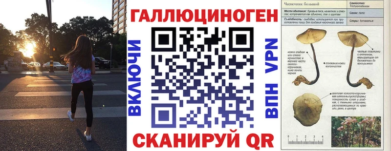 Галлюциногенные грибы мицелий Куйбышев