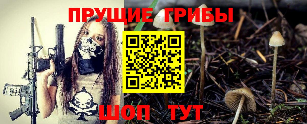 Куйбышев  Галлюциногенные грибы Psilocybine cubensis  Галлюциногенные грибы мицелий  Вход с VPN 